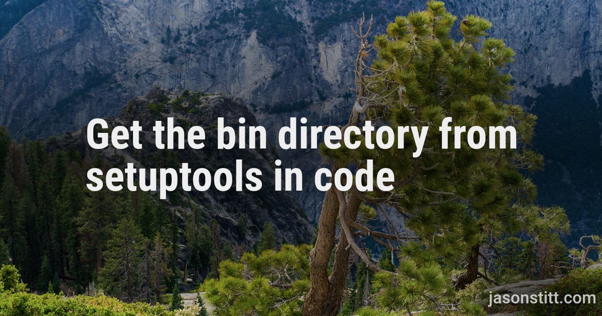 Get the bin directory from setuptools in code